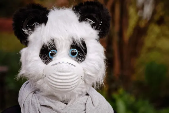 Rollers Casino Kundeservice